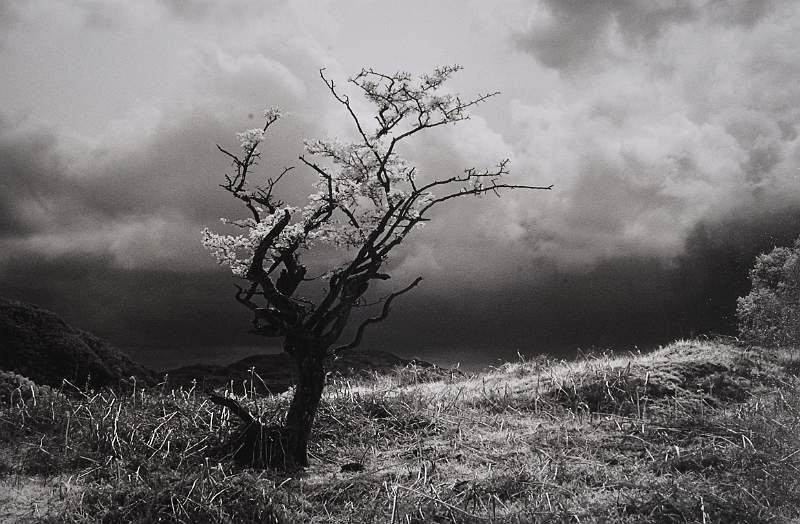 William Robinson Cup ( Mono Landscape) - A Bleak Landscape by Jean Pain LRPS DPAGB.jpg